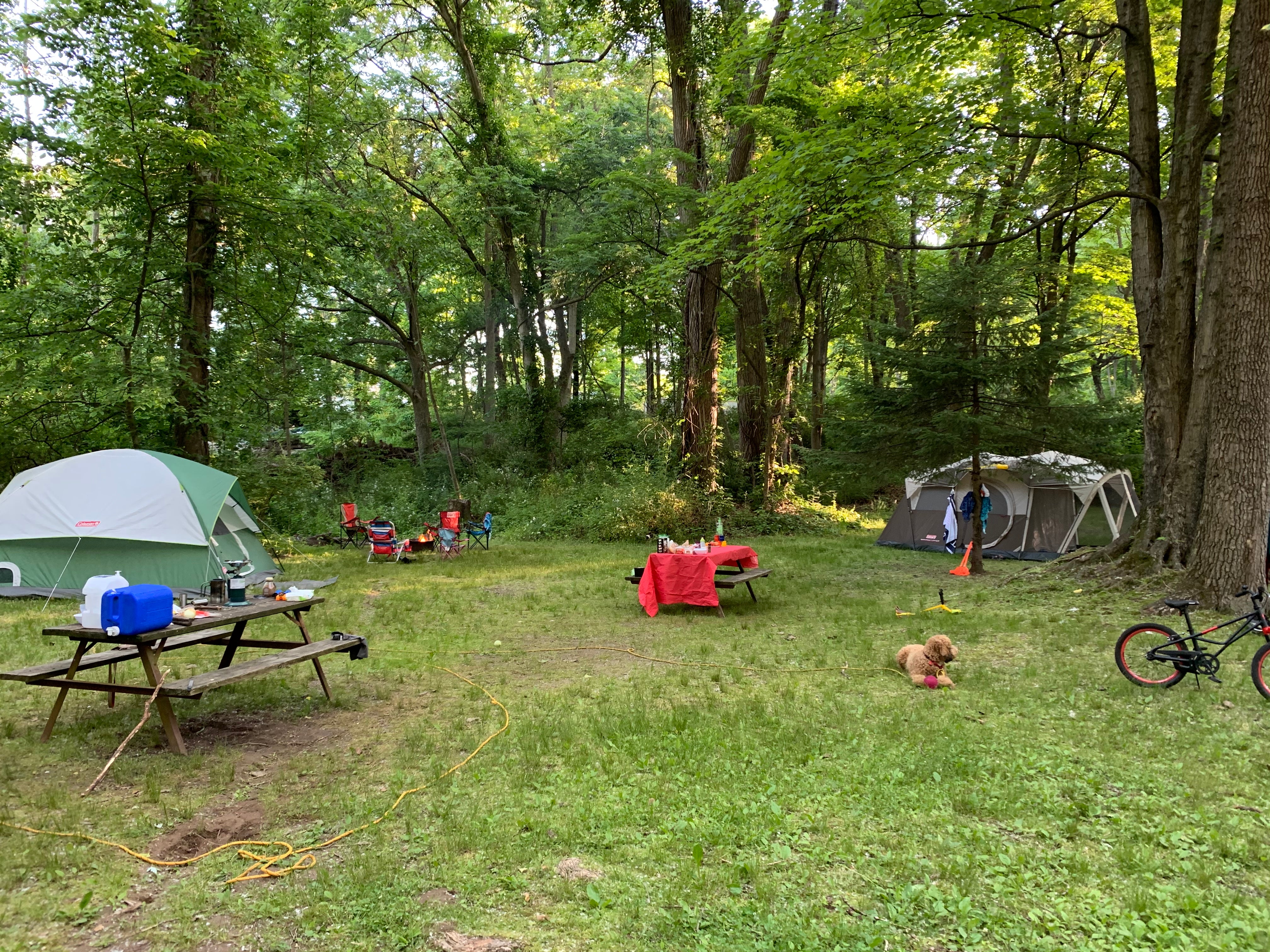 Camper submitted image from Dingman's Family Campground - 1
