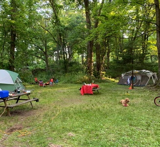 Camper-submitted photo from Dingman's Family Campground