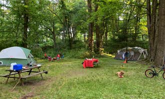 Camping near Tentrr Signature Site - WATER + WOODS: Dingman's Family Campground, Nassau, New York
