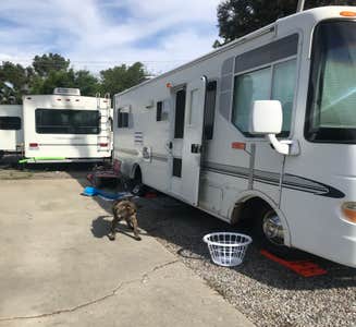 Camper-submitted photo from Circle RV Resort