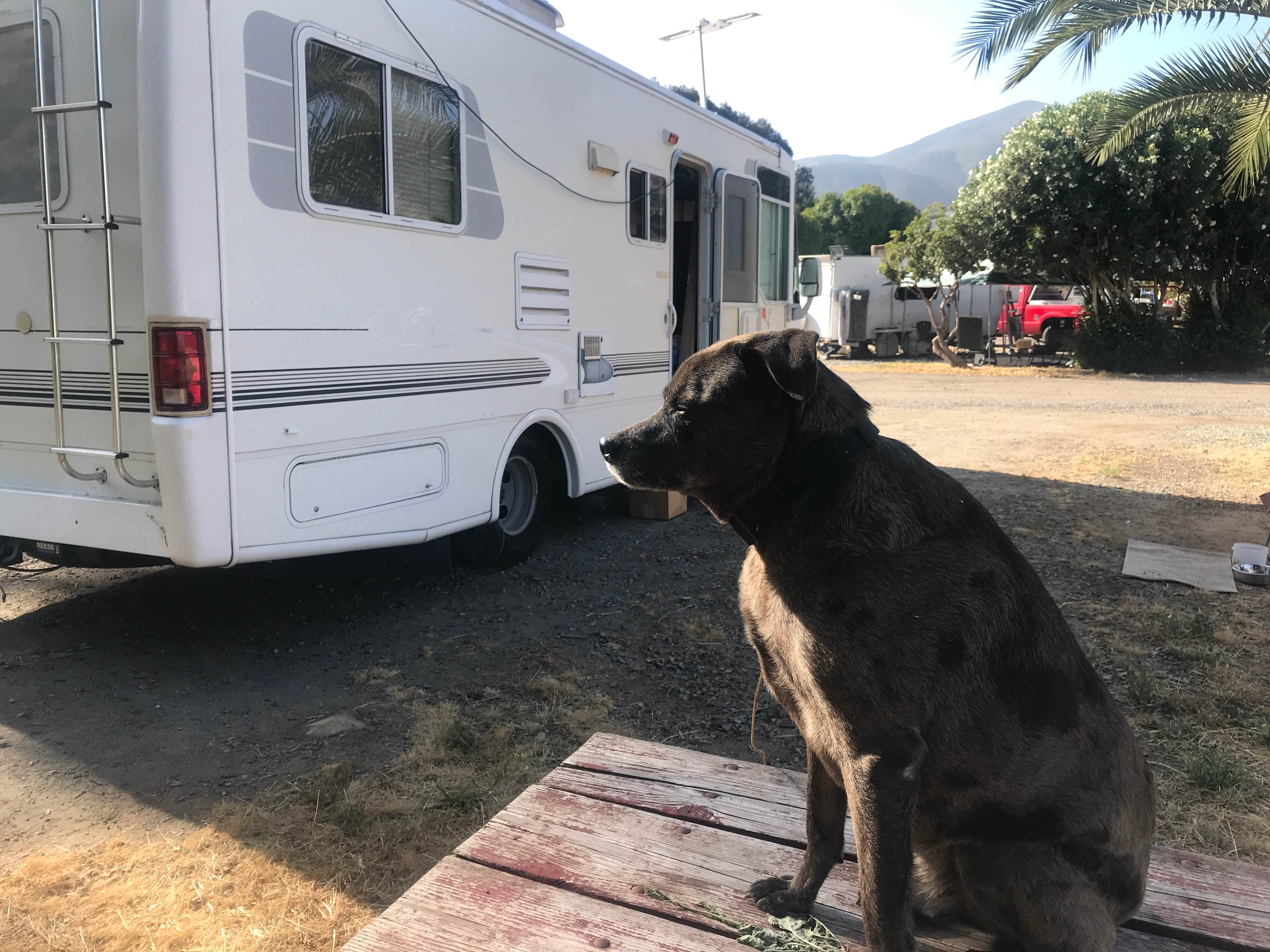 Tom W.'s photo of rv camping at Thousand Trails Pio Pico near Pine Valley, CA
