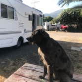 Review photo of Thousand Trails Pio Pico by Tom W., June 11, 2020