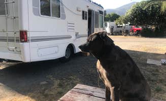 Tom W.'s photo of camping with pets at Thousand Trails Pio Pico near El Cajon, CA
