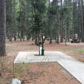 Review photo of Basin Campground by Bjorn S., June 12, 2020