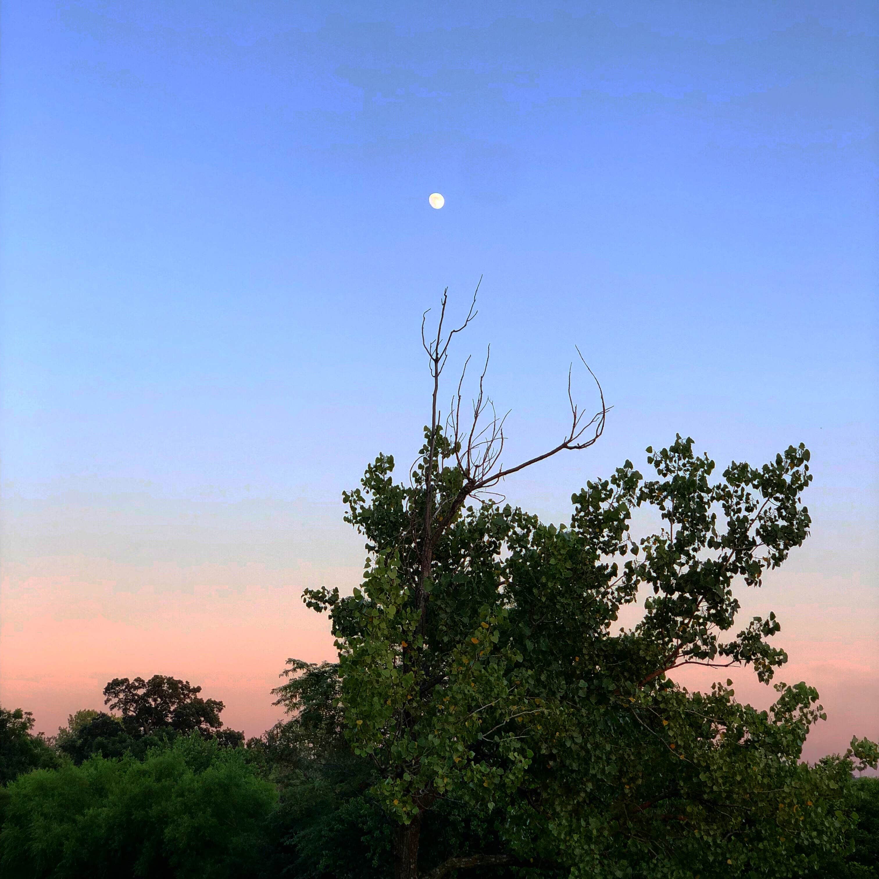 Camper-submitted photo at Smiths Fork Recreation Area Camping near Plattsburg, MO