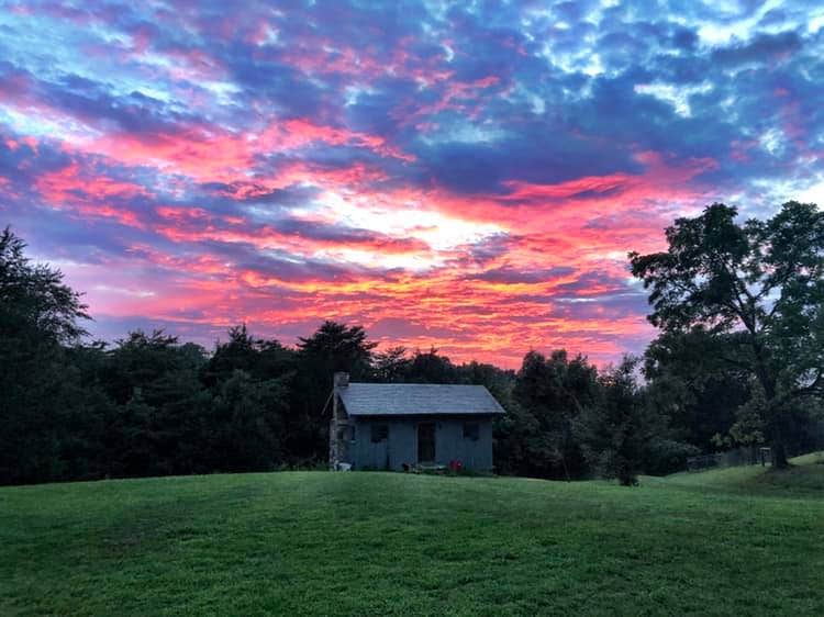 Camper submitted image from Valhalla Mountain Farm - 4