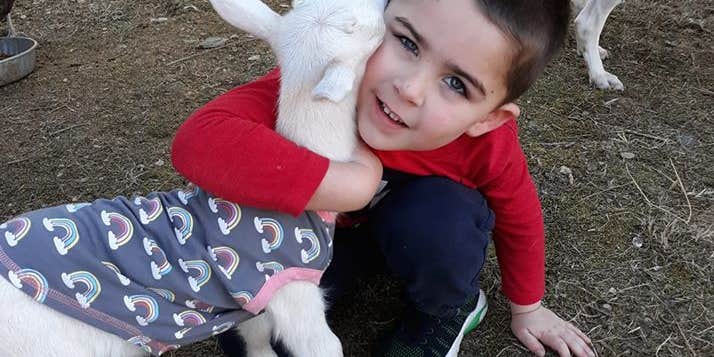 Camper submitted image from Valhalla Mountain Farm