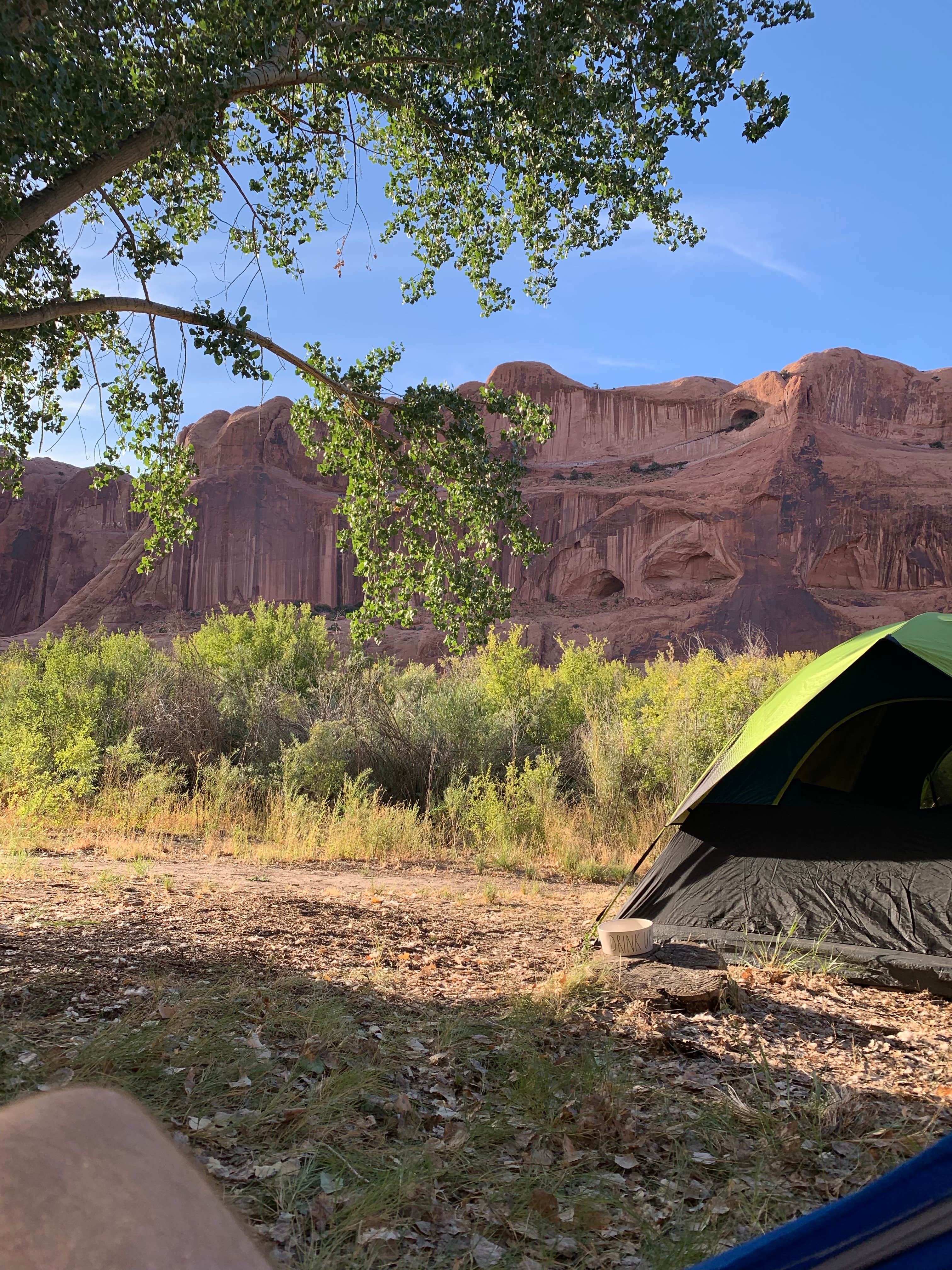 Casey W.'s photo at King's Bottom Campground near Moab, UT