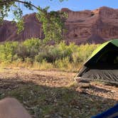 Review photo of King's Bottom Campground by Casey W., June 13, 2020