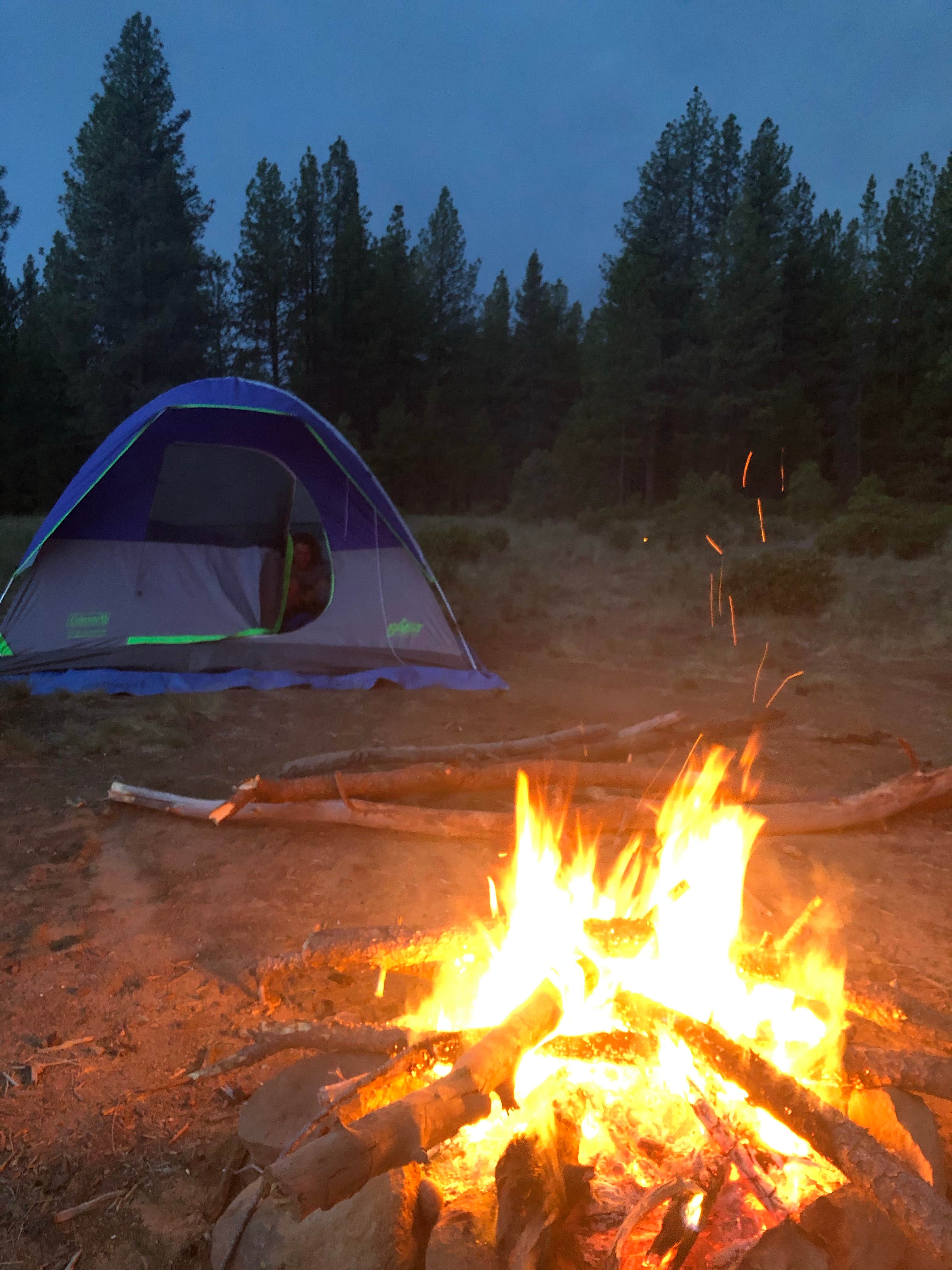 Lauren B.'s photo of a dispersed camping area at Deschutes National Forest Dispersed Camping Spot - PERMANENTLY CLOSED near Deschutes & Ochoco National Forests & Crooked River National Grassland