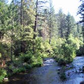 Review photo of Thousand Trails Yosemite Lakes by Dorothea  W., October 19, 2017