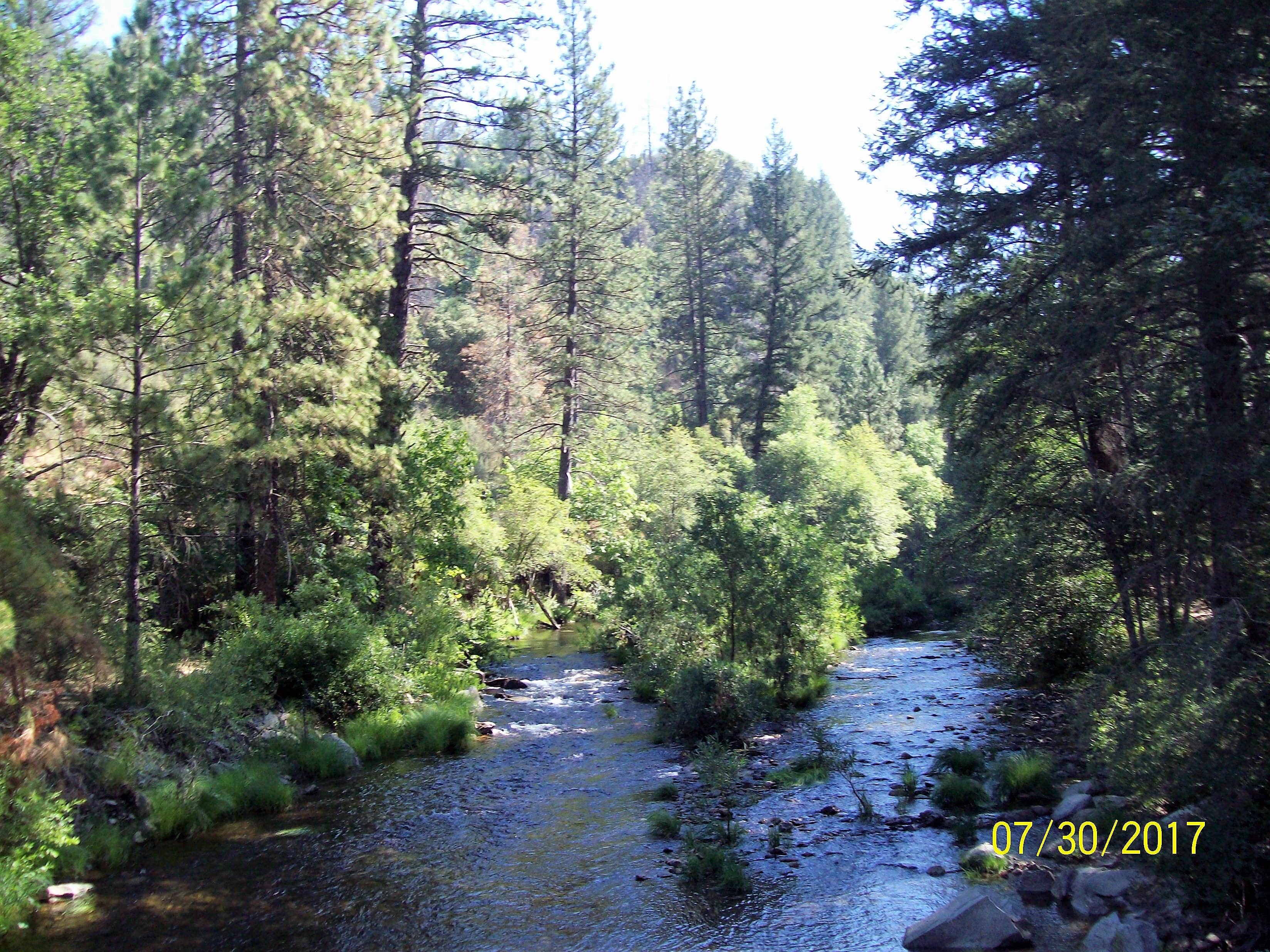 Camper submitted image from Thousand Trails Yosemite Lakes - 4