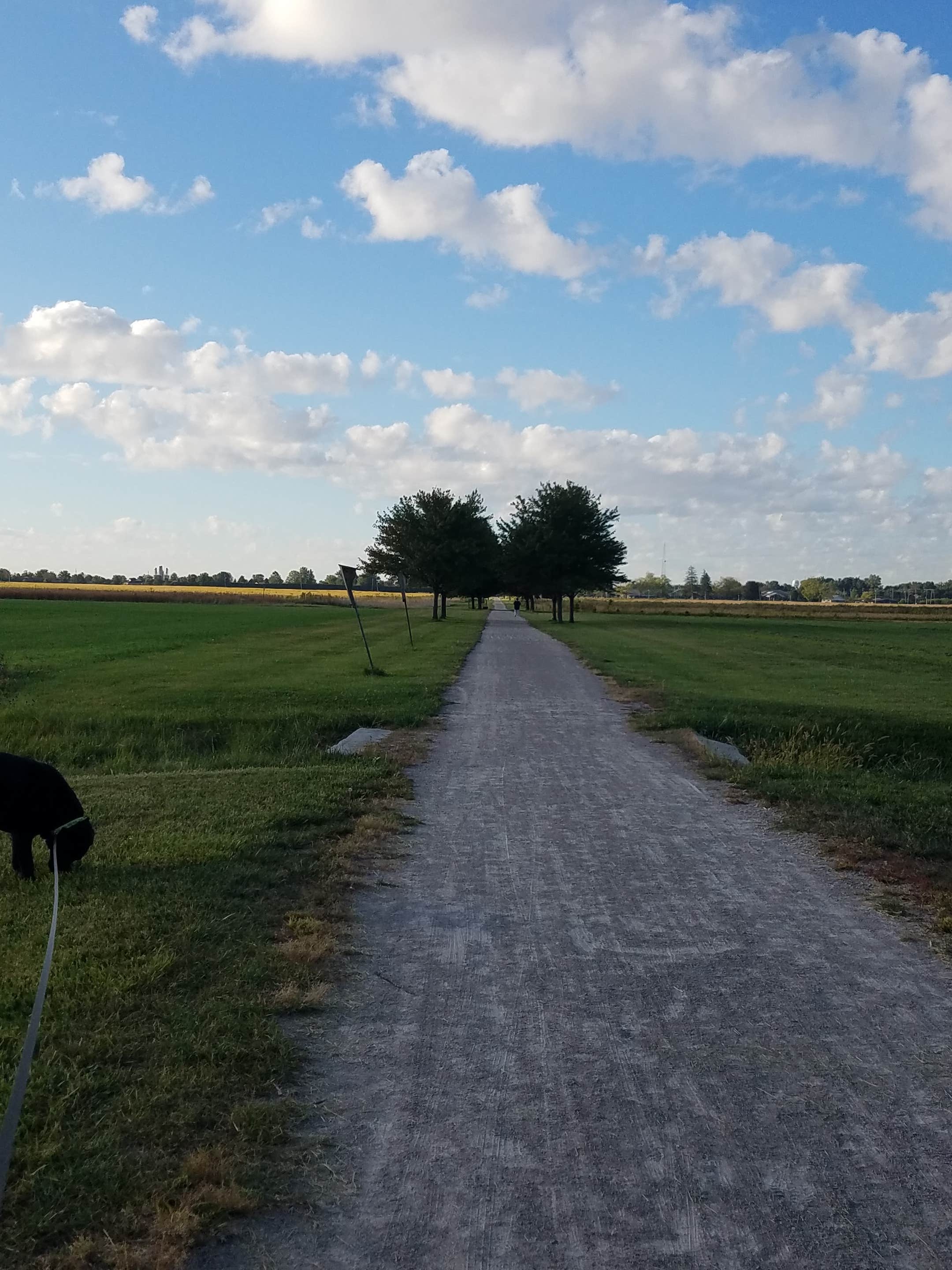 Roads