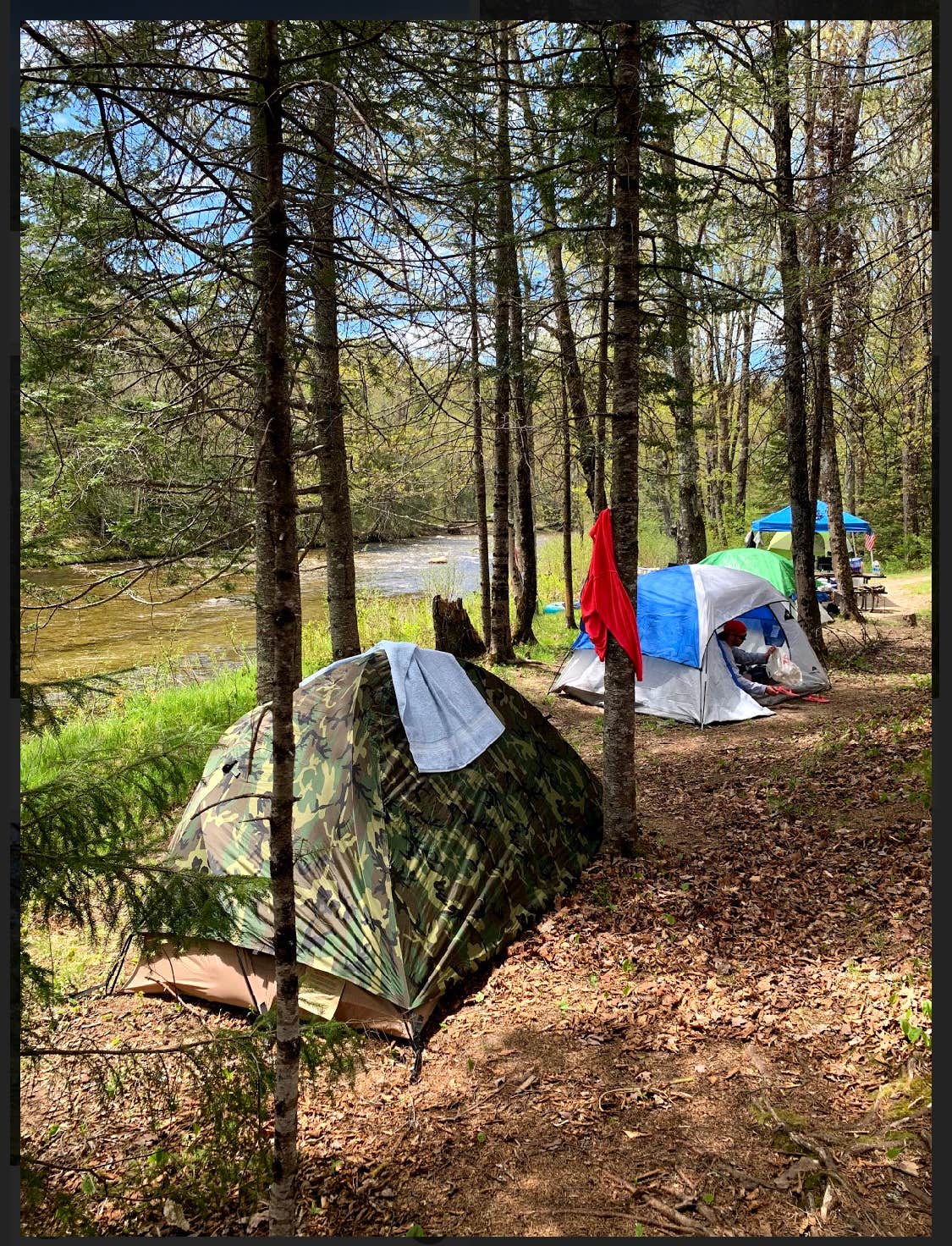 Maggie H.'s photo at Zealand Campground near Whitefield, NH