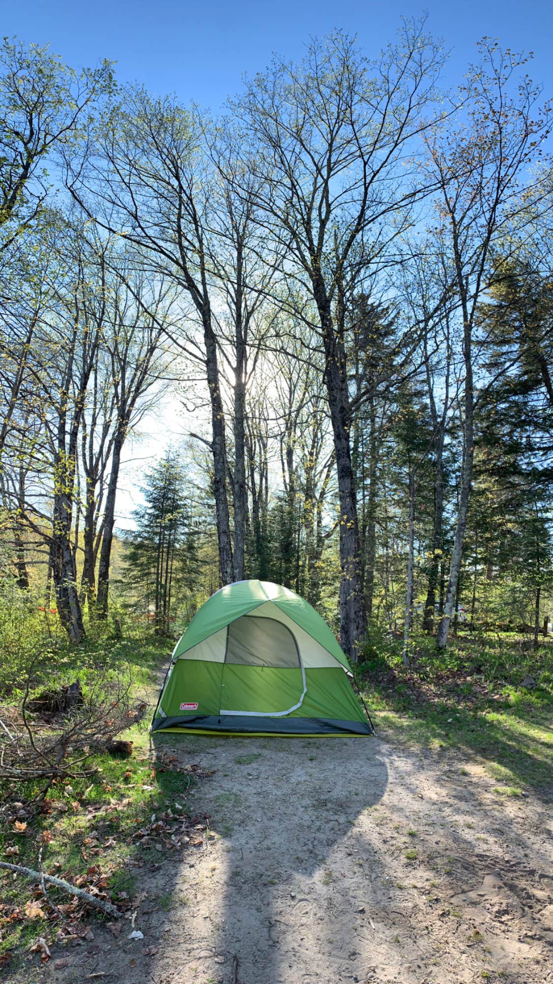 Maggie H.'s photo at Zealand Campground near Twin Mountain, NH