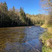 Review photo of Zealand Campground by Maggie H., June 13, 2020