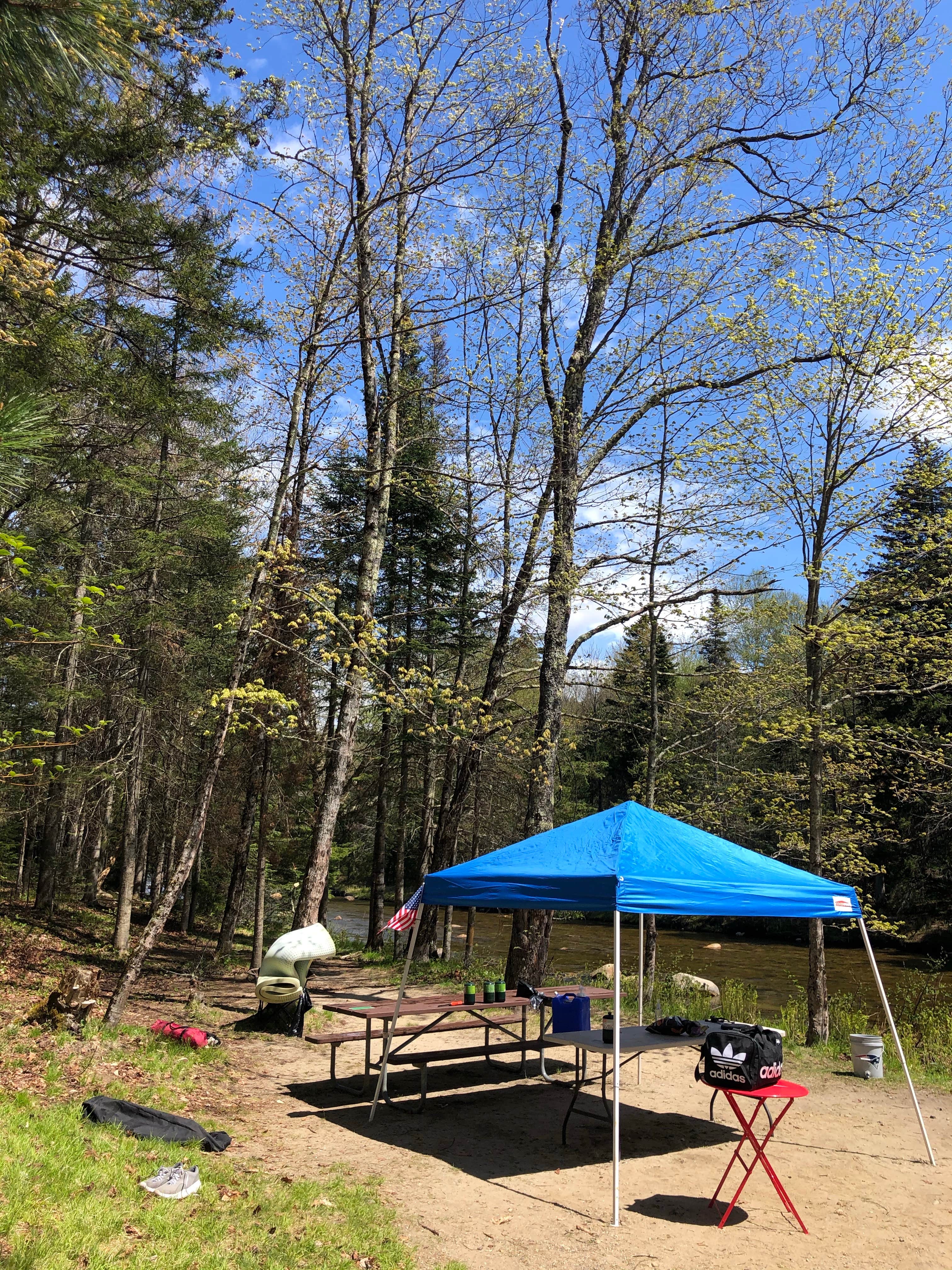 Maggie H.'s photo at Zealand Campground near Bretton Woods, NH