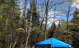 Maggie H.'s photo at Zealand Campground near Bretton Woods, NH