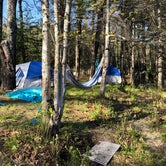 Review photo of Zealand Campground by Maggie H., June 13, 2020