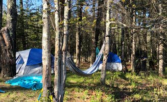Maggie H.'s photo at Zealand Campground near White Mountain National Forest