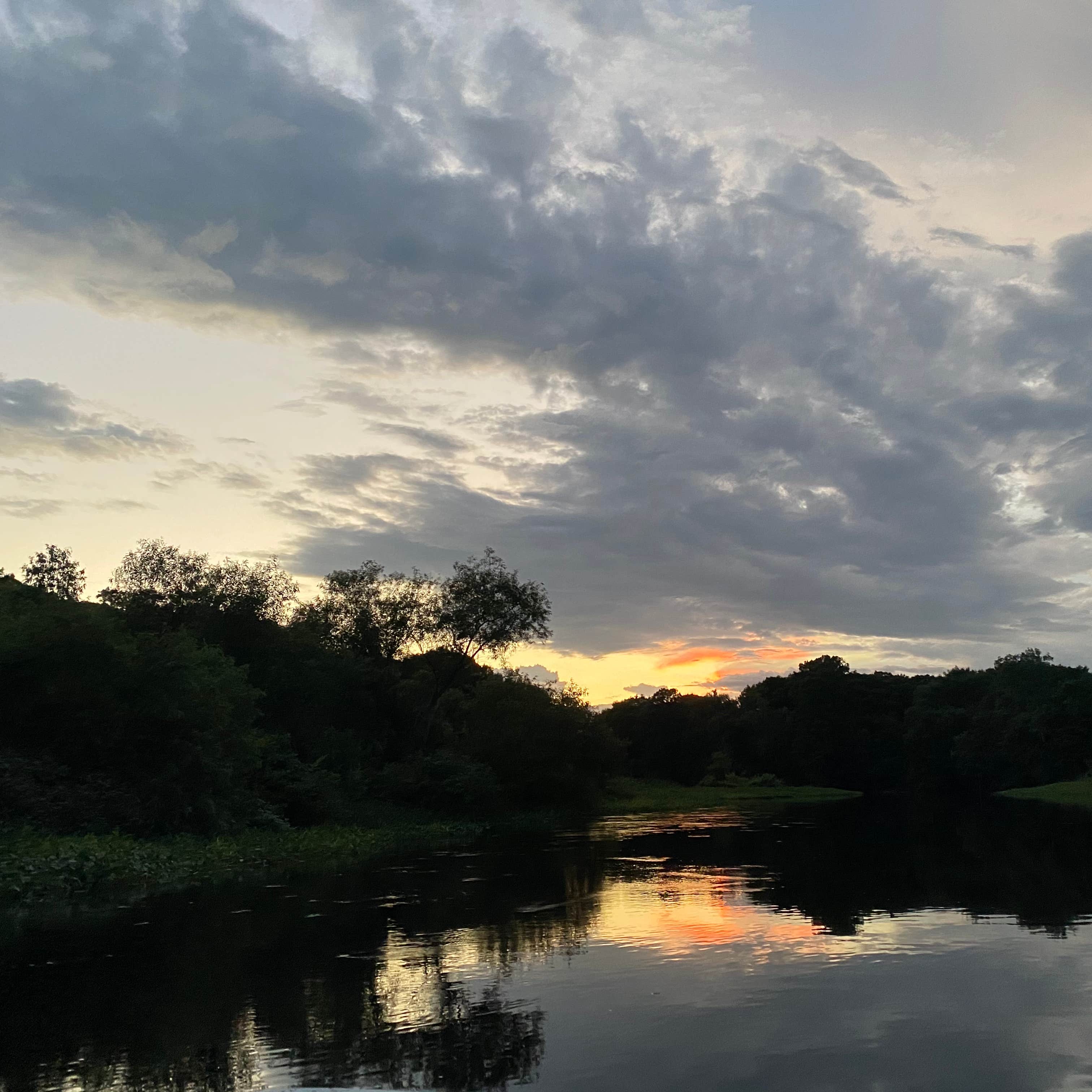 Nature
