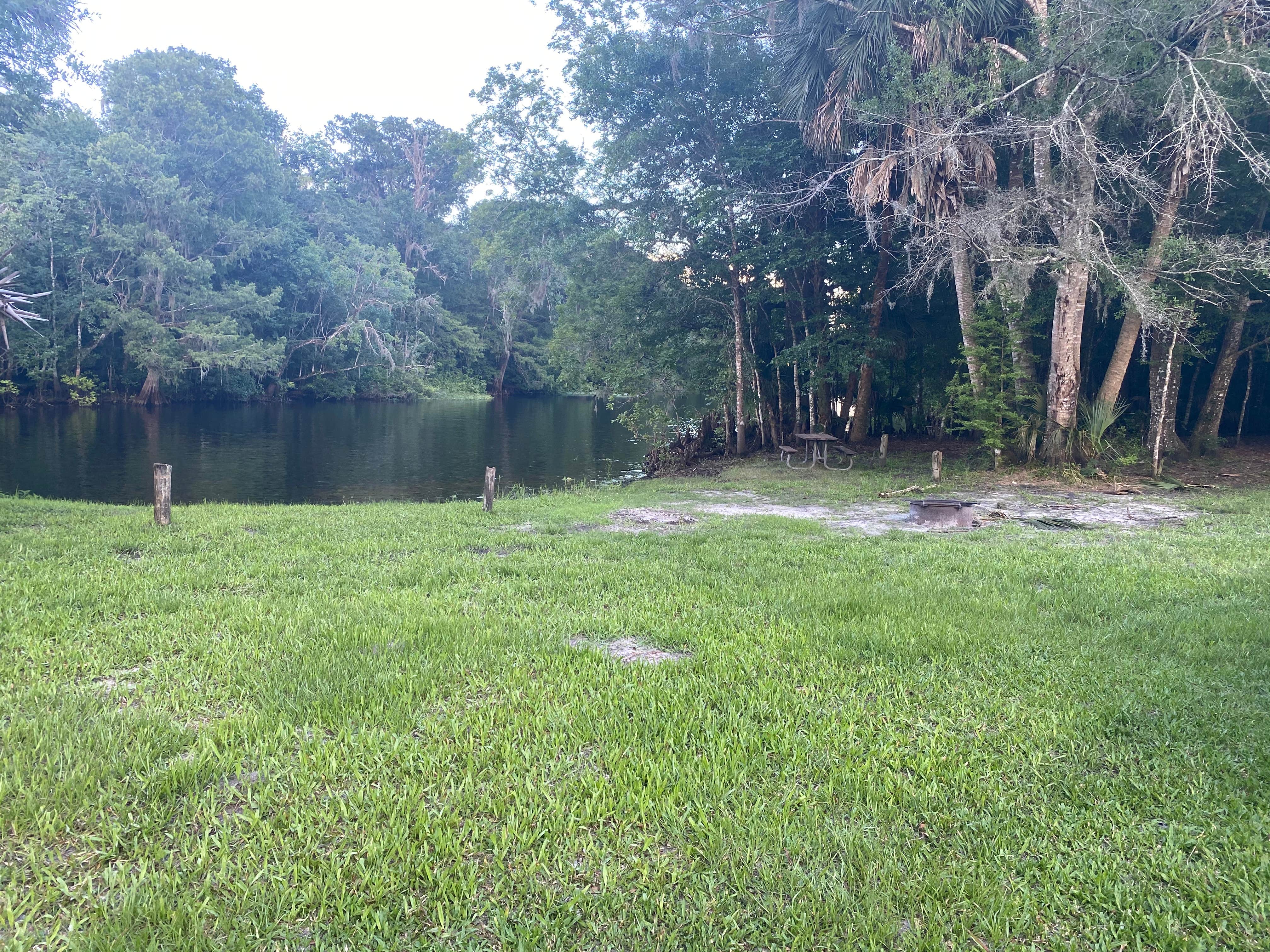 Camper-submitted photo at Potts Preserve - River Primitive Campground (North Hooty Point Road) near Inverness, FL