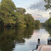 Review photo of Potts Preserve - River Primitive Campground (North Hooty Point Road) by Alyssa D., June 13, 2020