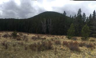 Camping near Deer Creek: Bruno Gulch Dispersed, Grant, Colorado