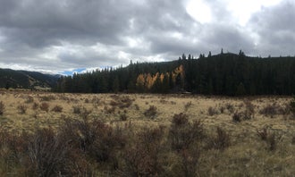 Camping near Grays & Torreys Trailhead: Bruno Gulch Dispersed, Grant, Colorado