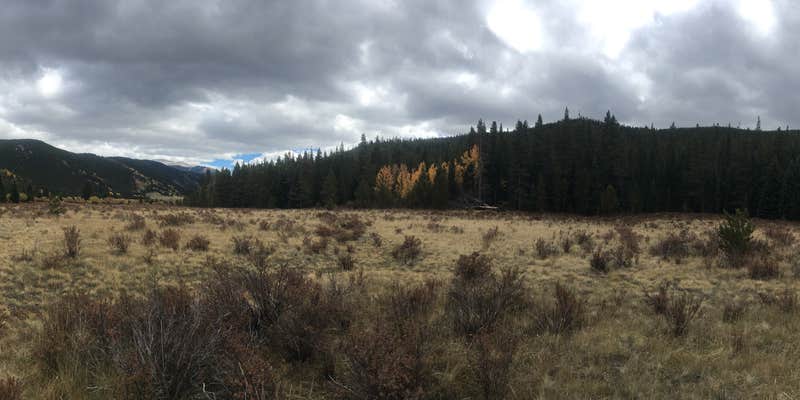 Camper submitted image from Bruno Gulch Dispersed