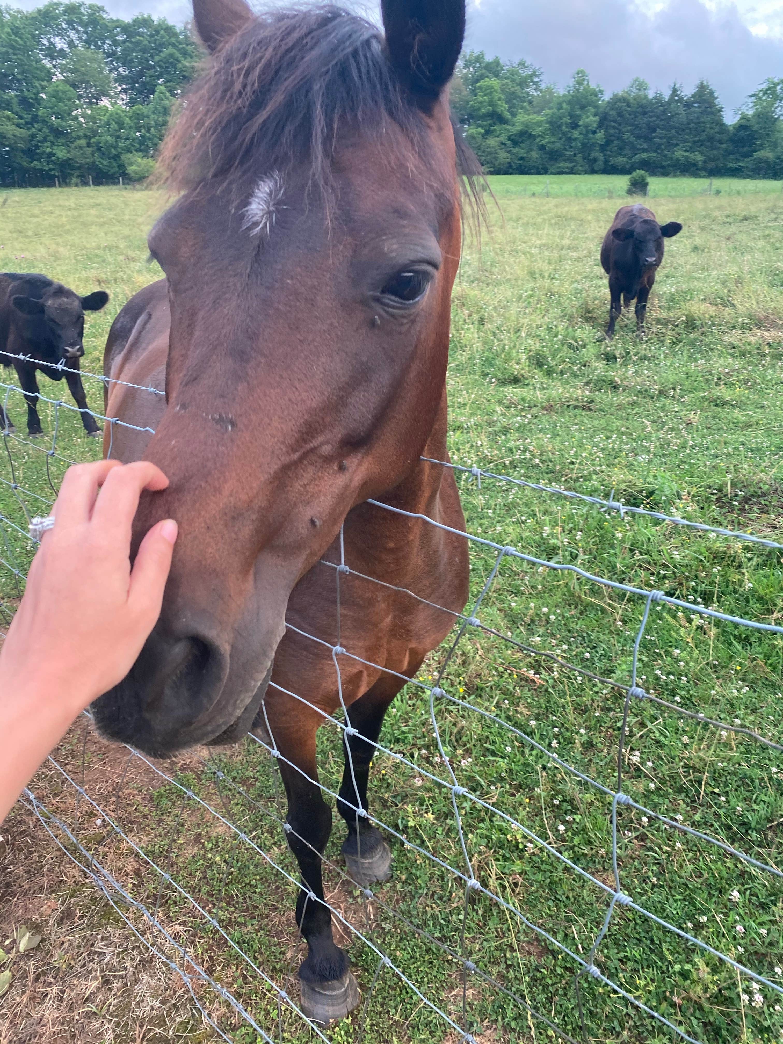 Camper-submitted photo at R&R RV Campground near Pocahontas, TN