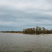 Review photo of Fontainebleau State Park Campground by Stephanie J., June 13, 2020