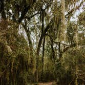 Review photo of Fontainebleau State Park Campground by Stephanie J., June 13, 2020