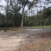 Review photo of Fontainebleau State Park Campground by Stephanie J., June 13, 2020