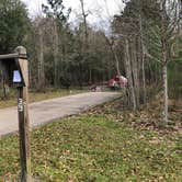 Review photo of Fontainebleau State Park Campground by Stephanie J., June 13, 2020