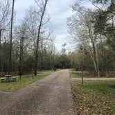 Review photo of Fontainebleau State Park Campground by Stephanie J., June 13, 2020