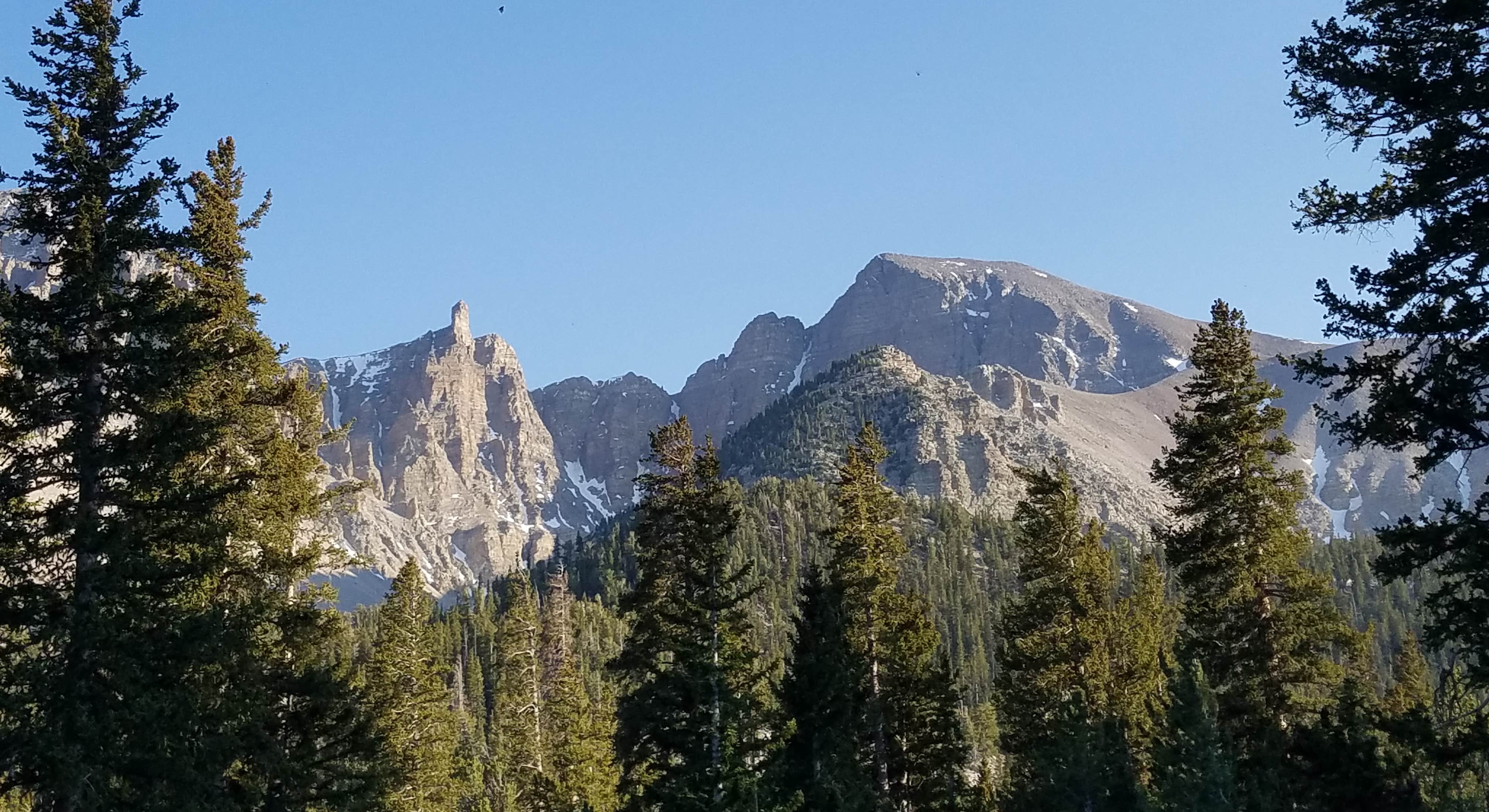 Wheeler Peak Scenic View in Great Basin National Park
