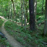 Review photo of East Fork State Park Campground by Noah R., July 1, 2016