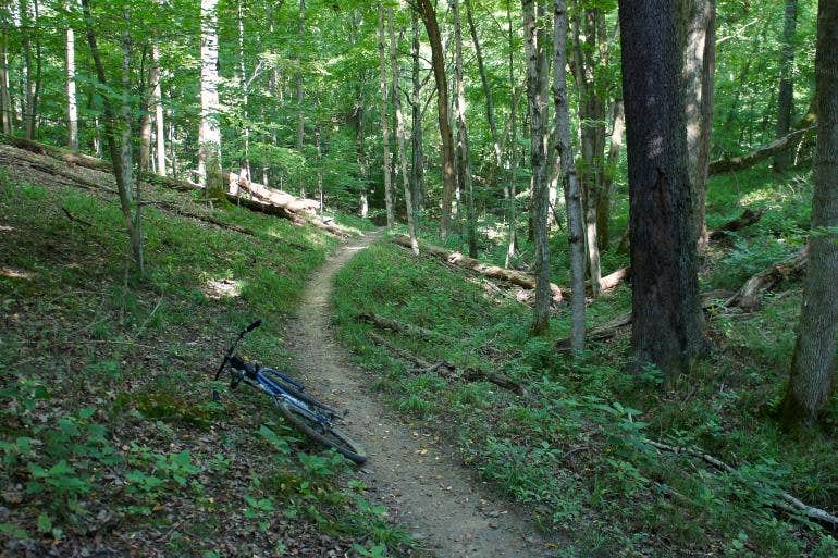 Camper submitted image from East Fork State Park Campground - 3