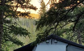 Pat S.'s photo at Wheeler Peak Campground — Great Basin National Park near Great Basin National Park