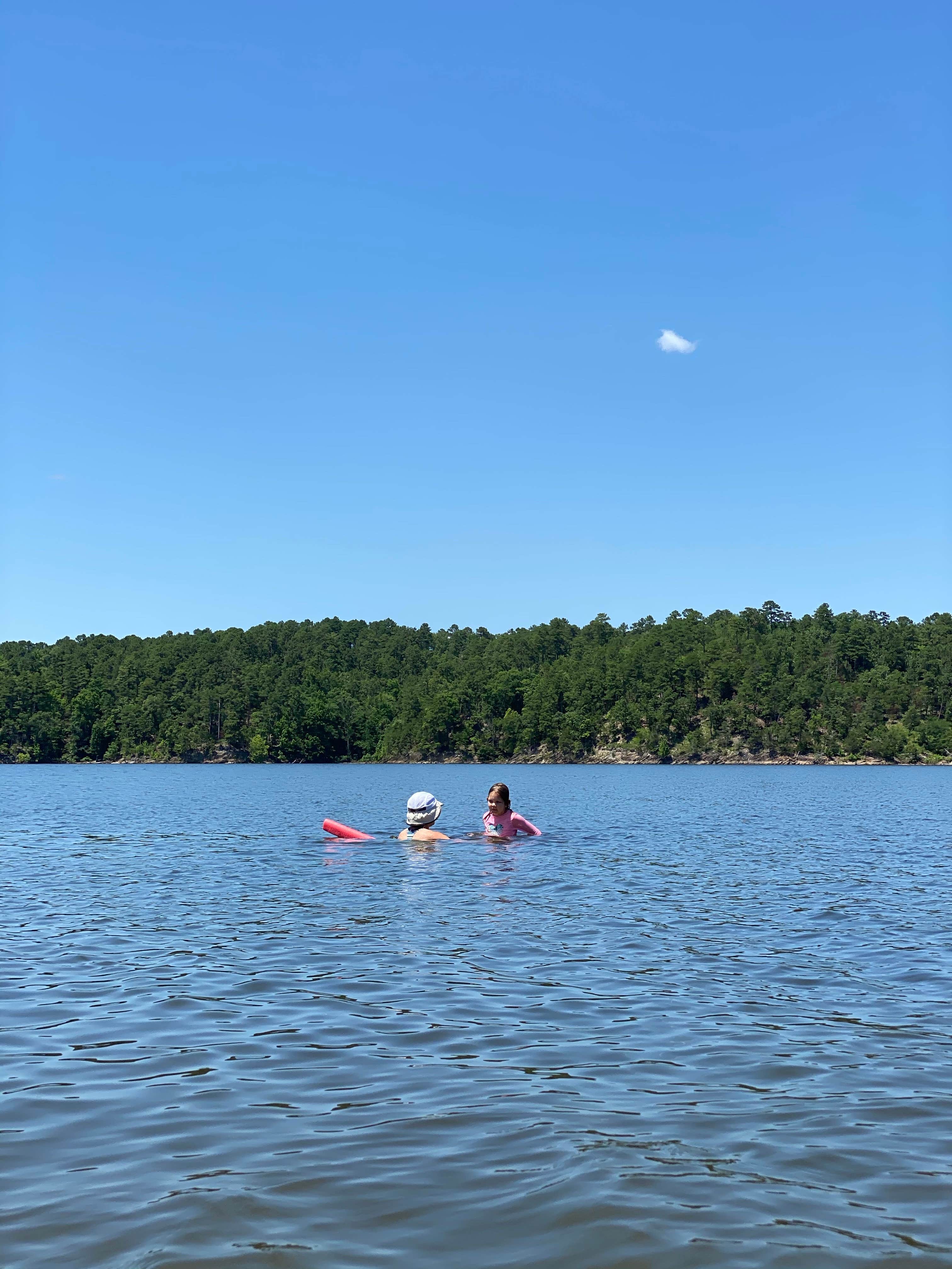 Camper submitted image from COE Lake Ouachita Little Fir Campground - 3