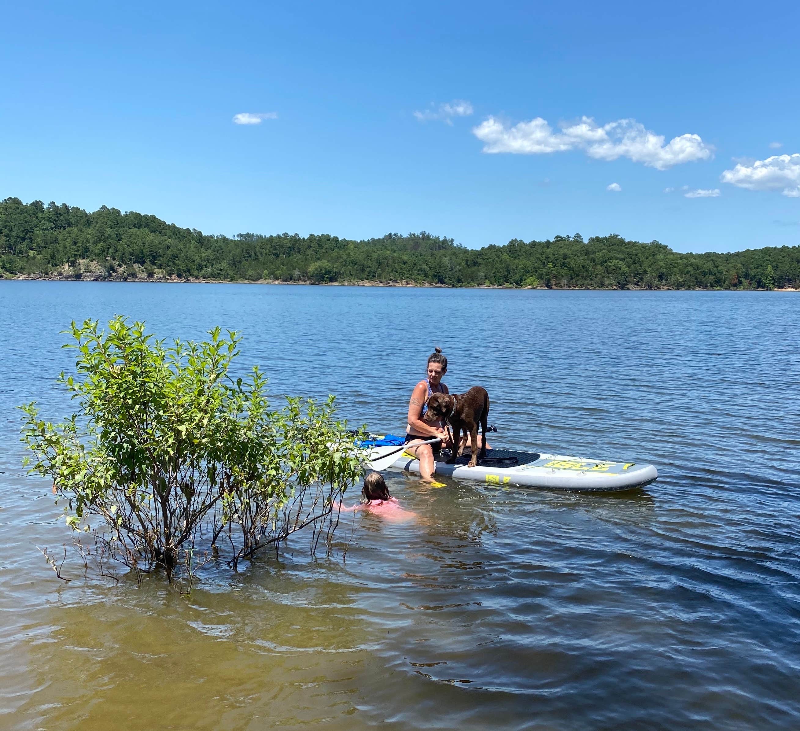 Camper submitted image from COE Lake Ouachita Little Fir Campground - 2