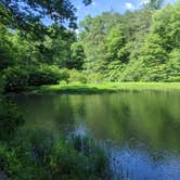 Review photo of Dockery Lake Campground by Parker B., June 13, 2020