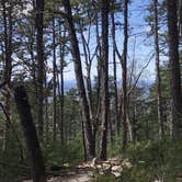 Review photo of Pilot Mountain State Park Campground — Pilot Mountain State Park by Rachael H., June 13, 2020