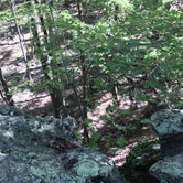 Review photo of Pilot Mountain State Park Campground — Pilot Mountain State Park by Rachael H., June 13, 2020