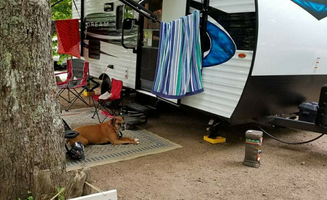 Paully B.'s photo of camping with pets at Old Forge Camping Resort in New York