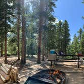 Review photo of Reverend's Ridge Campground — Golden Gate Canyon by mary C., June 13, 2020