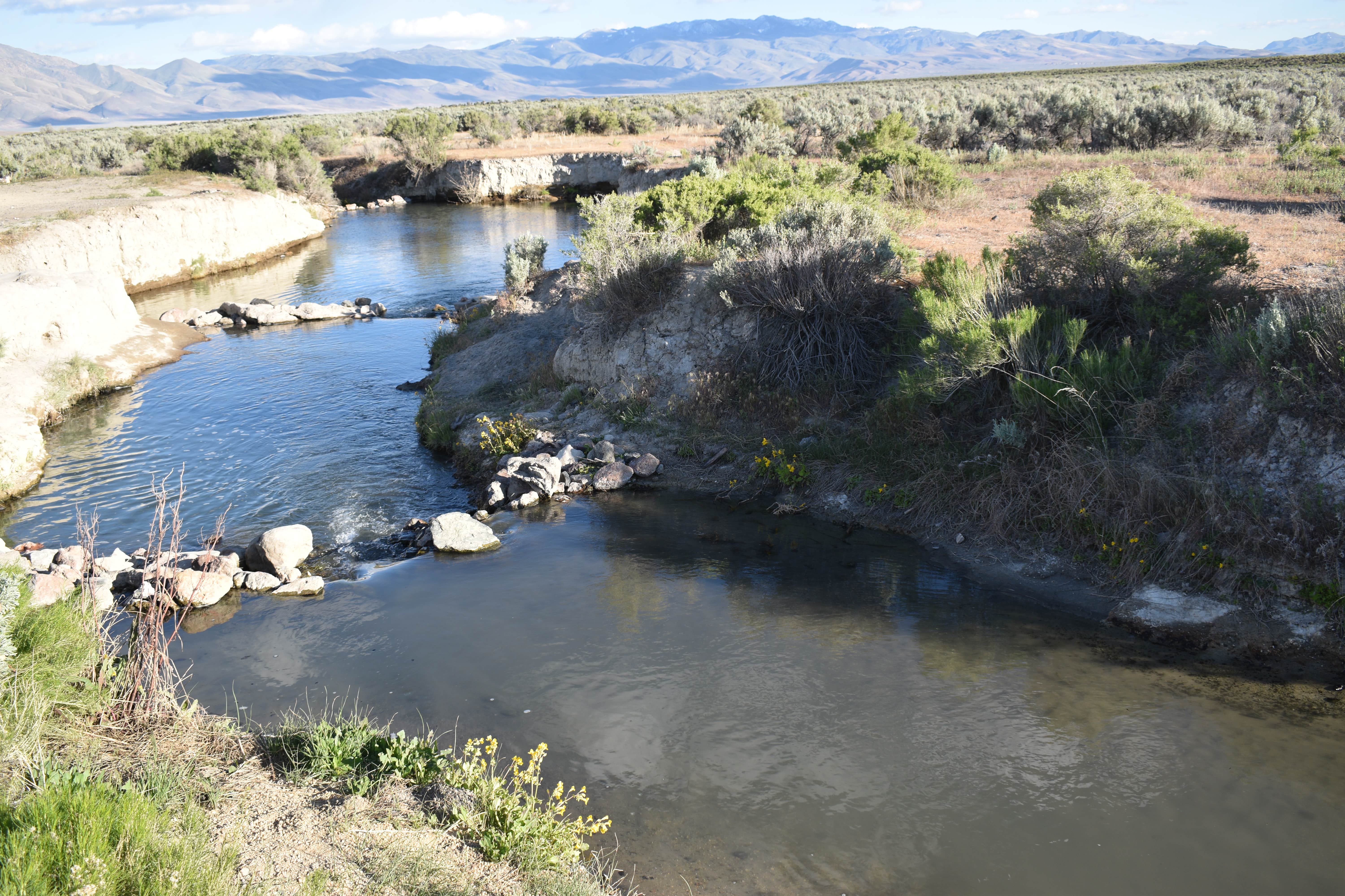 Camper submitted image from Bog Hot Springs Dispersed Camping - 4