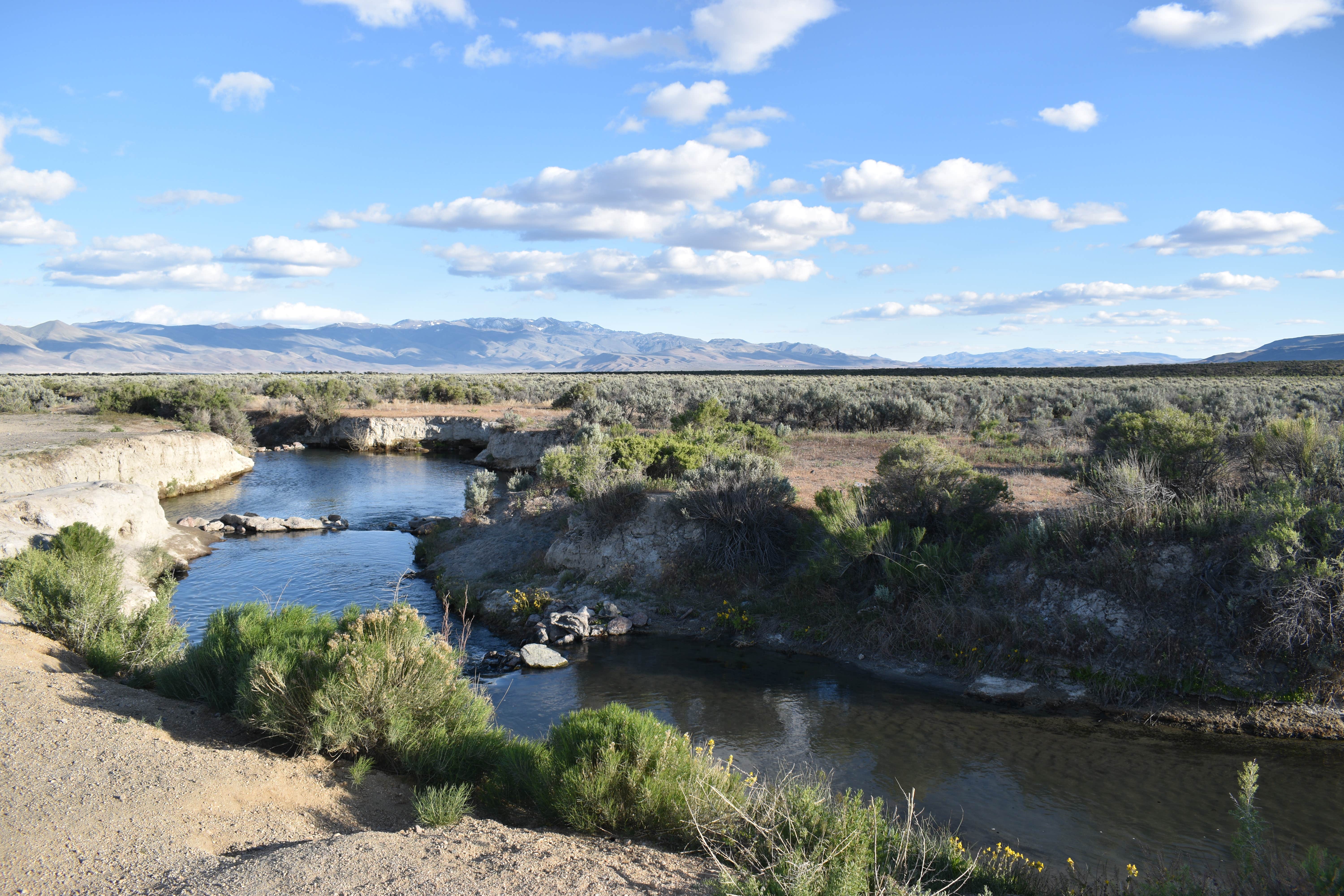 Camper-submitted photo at Bog Hot Springs Dispersed Camping near Denio, NV