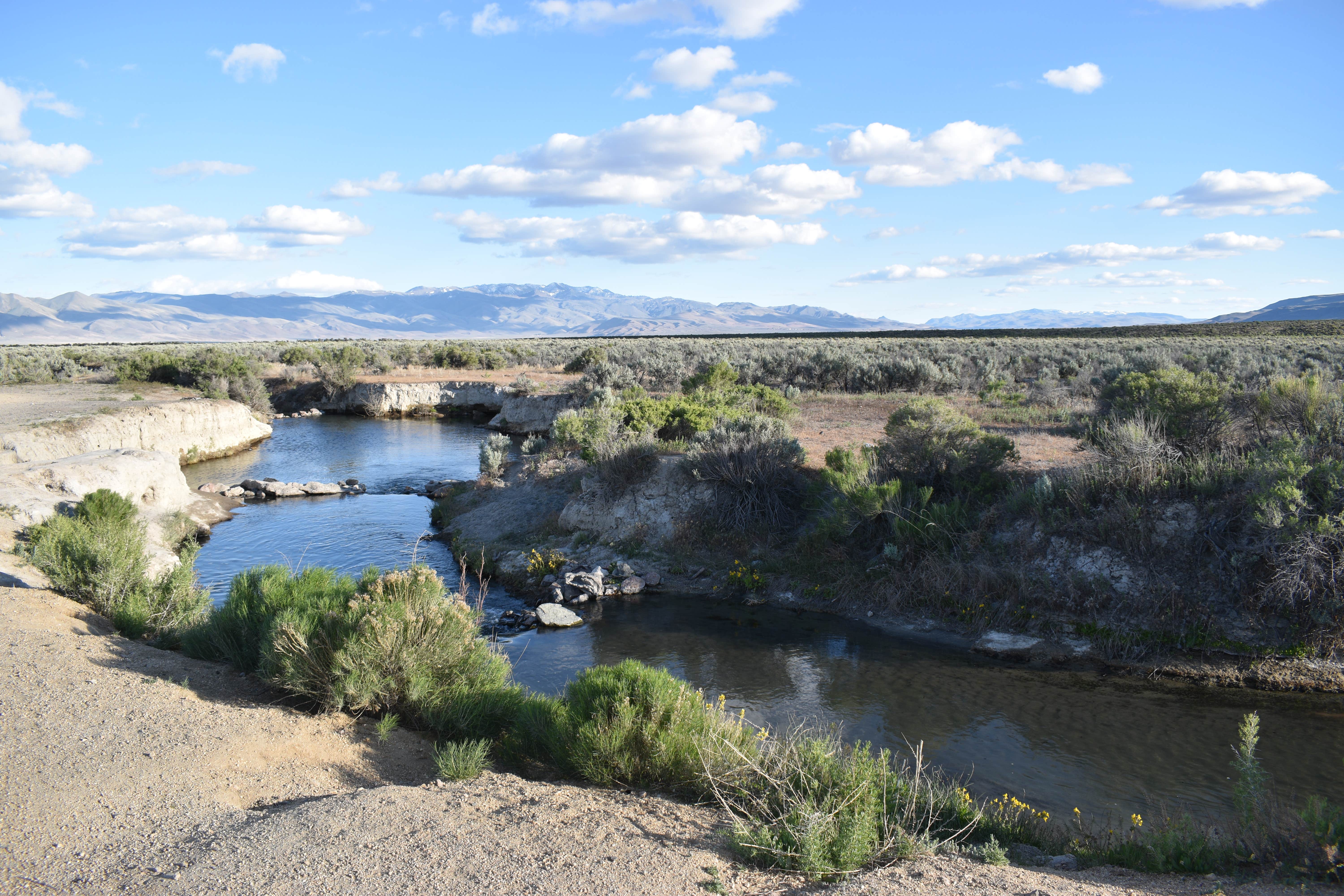 Camper-submitted photo at Bog Hot Springs Dispersed Camping near Denio, NV